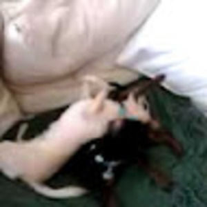 Meet your Posher, Chad